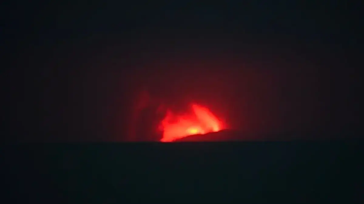 Volcanic Eruption Disrupts Flights in Indonesia