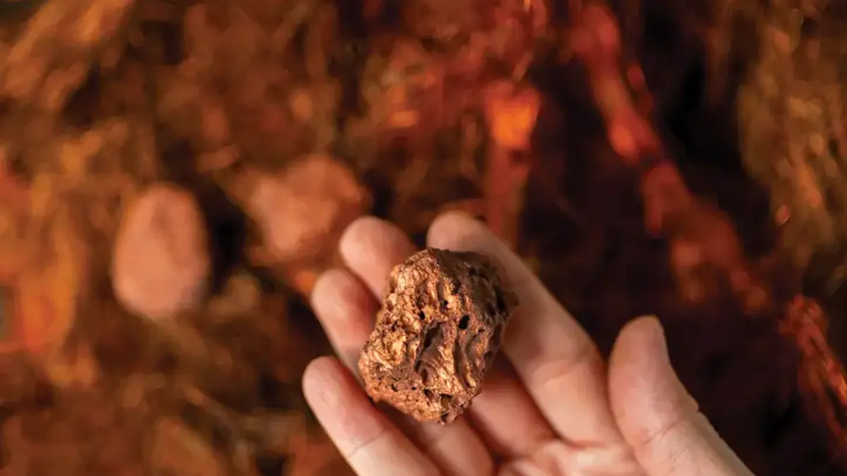 Copper Prices Reach Record Highs, Surpassing $14,500 Per Ton