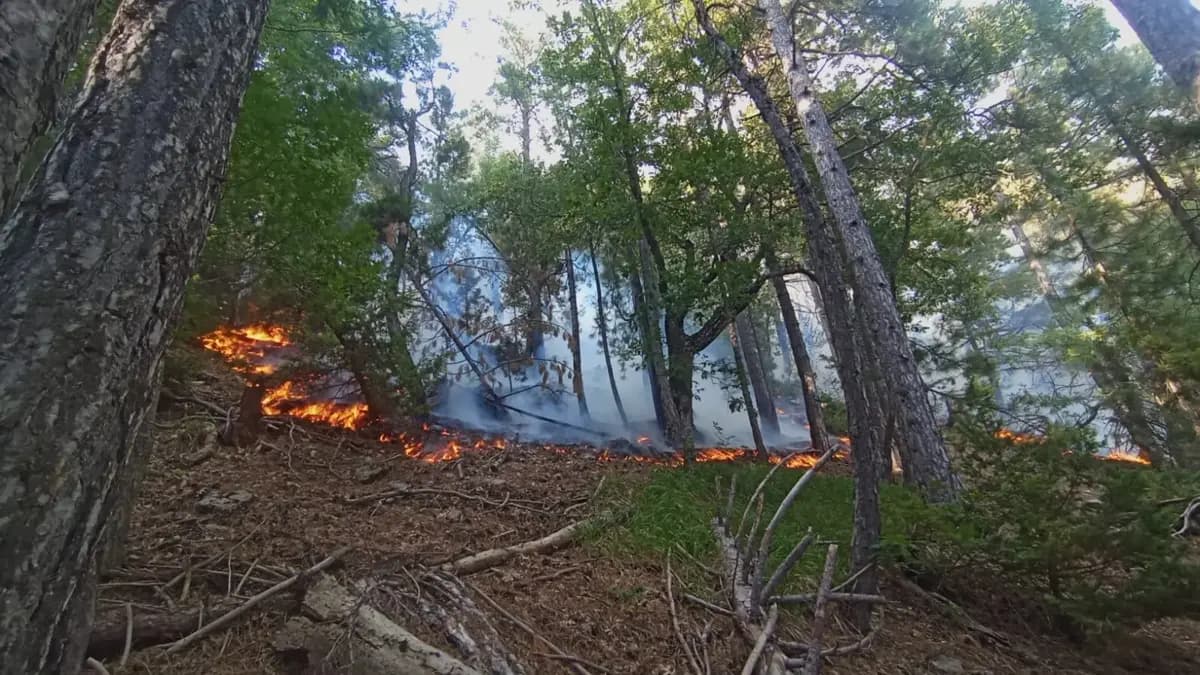 Fire in Düziçi Extinguished Quickly Before Spreading