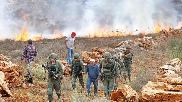 Violence Erupts During Olive Harvest in West Bank Amid Settler Attacks