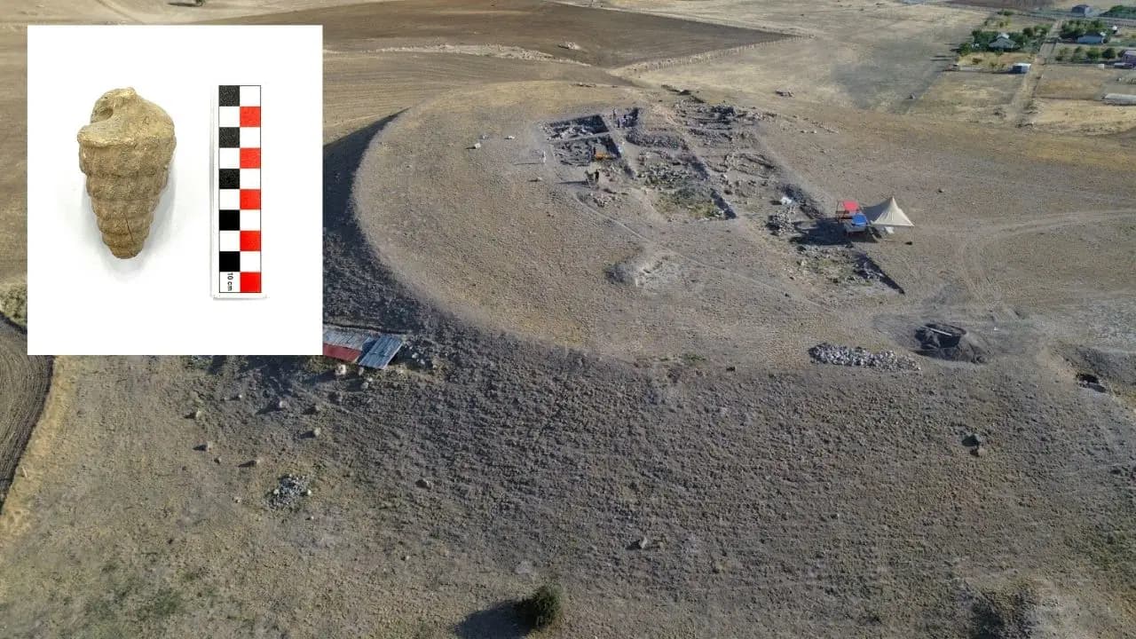Remarkable Discovery in Ankara: Fossil of 66-Million-Year-Old Marine Creature Unearthed