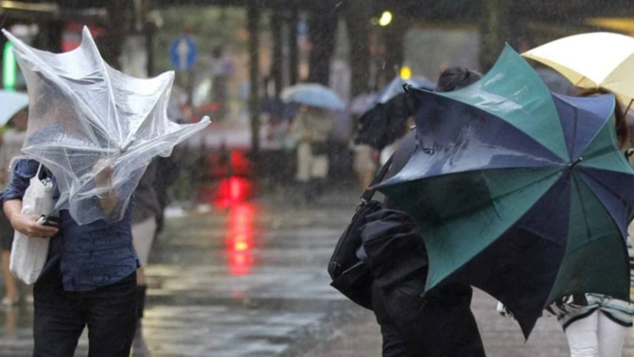 Weather Forecast for August 9, 2026: Heavy Rain Expected in Northeastern Turkey