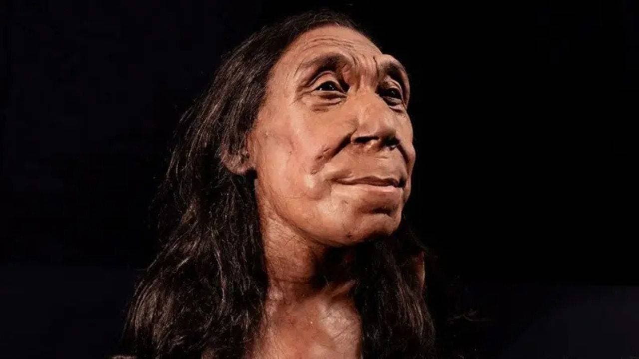 Ancient Evidence of Violence: 75,000-Year-Old Neanderthal Remains Discovered in Northern Iraq