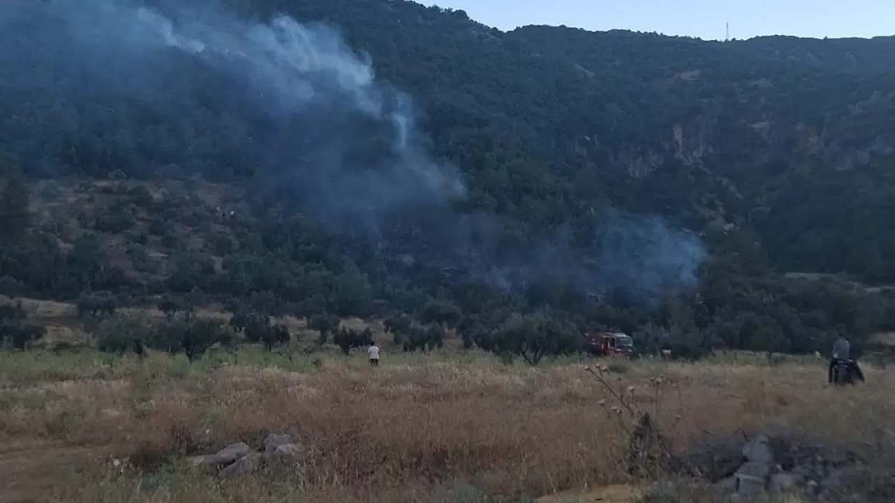 Forest Fire in Gaziantep's Islahiye District Extinguished After Aerial and Ground Efforts