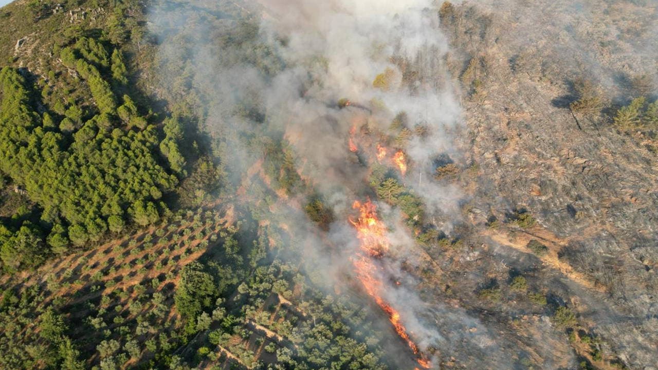 Six Arrested in Connection with Devastating Forest Fire in Antalya