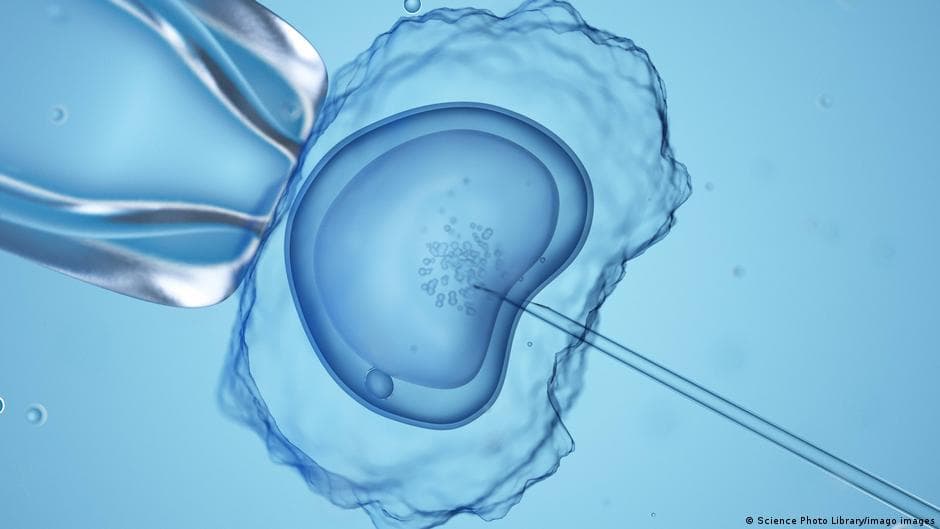 Germany's Reproductive Medicine Regulations: A Call for Justice