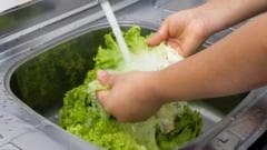 First Two Fatalities Reported in US Due to 'Explosive Diarrhea' Outbreak