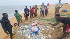 Sierra Leone'deki Balıkçılar, Çin Trol Gemilerini Suçluyor