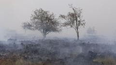 Major Wildfire Ravages Belgian Nature Reserve: The Worst in Years