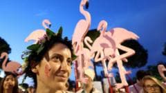 Albanian Protests Ignite: The 'Flamingo Revolution' Calls for PM's Resignation