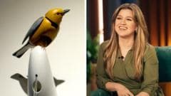 Brooklyn Novelty Store Faces Backlash After Kelly Clarkson's Complaint Over Mechanical Bird