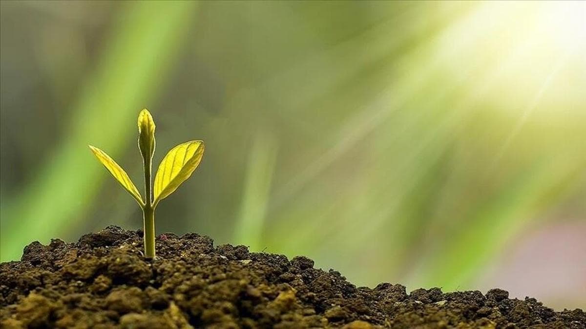 Turkey Secures €200 Million Green Transition Financing from the European Investment Bank