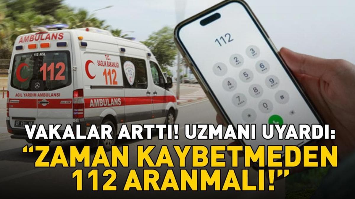 Increase in Snakebite Cases in Iğdır: Experts Urge Immediate Medical Attention