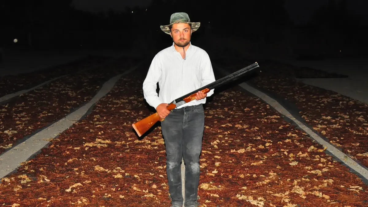 Vigilante Grape Watch in Manisa Plain