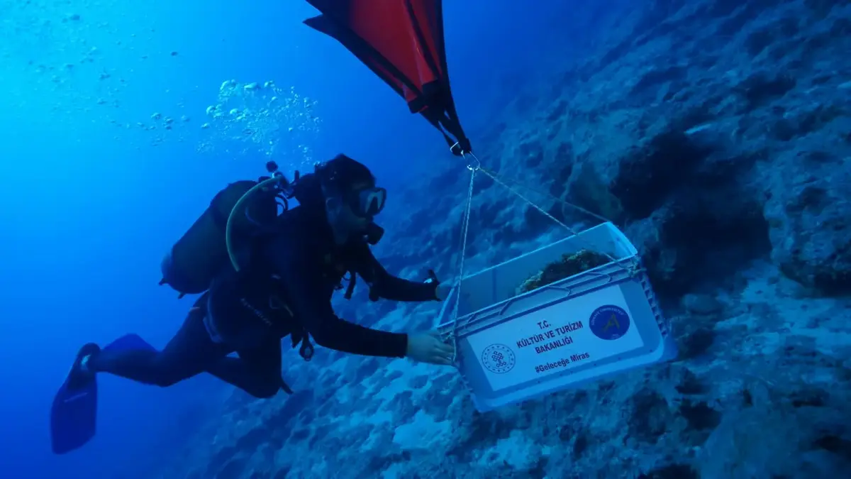 Ancient Shipwreck Discovered Near Kekova: Insights into Maritime History