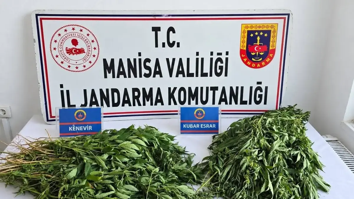 Three Arrested in Drug Operations in Manisa