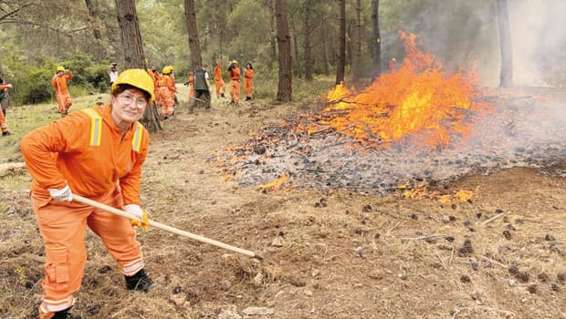 Turkey's Forestry Chief Assures Readiness for Wildfire Season Amid El Niño Threat