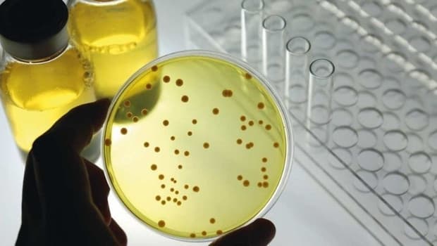 Scientists Create Synthetic Cell Capable of Growth and Reproduction