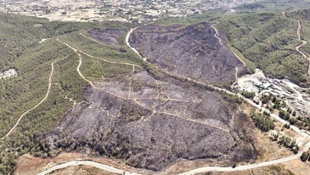 Two Arrested for Causing Forest Fire in Balıkesir Amid Ongoing Wildfire Crisis
