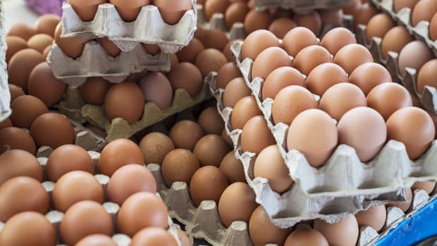 The Protein Debate: Is High Protein Intake Essential for Healthy Aging?