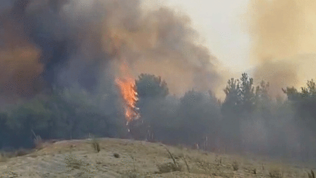Wildfires Rage in Three Turkish Provinces: Air and Ground Efforts Underway