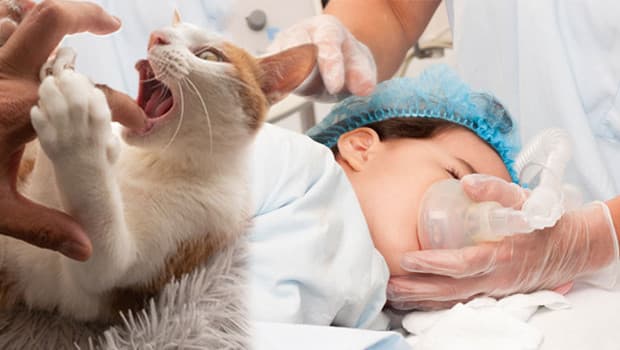 Rising Concerns Over Rabies: What You Need to Know