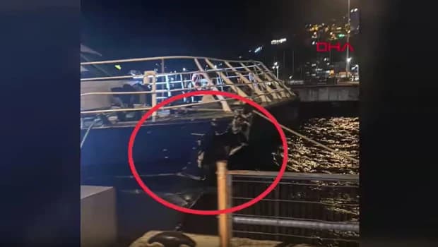 Ferry Collision at Mudanya Dock Causes Passenger Alarm