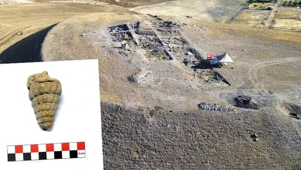 Remarkable Discovery in Ankara: Sea Fossil Unearthed