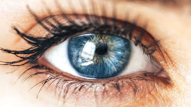 Innovative AI Model Predicts Age from Retina Images with Remarkable Accuracy