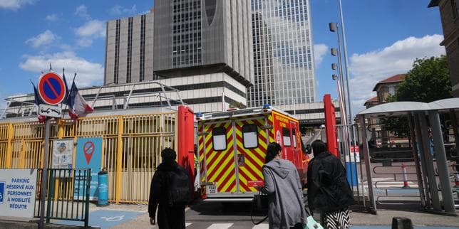 Health Minister Confirms Negative Hantavirus Tests for 26 Contacts of Deceased Dutch Passenger