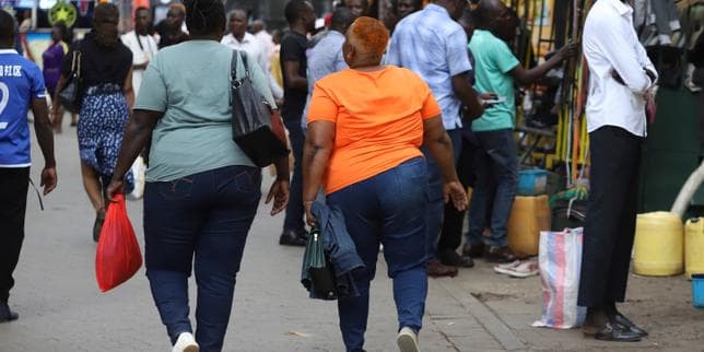 Global Obesity Rates Surge in Low-Income Countries While Stabilizing in Wealthy Nations
