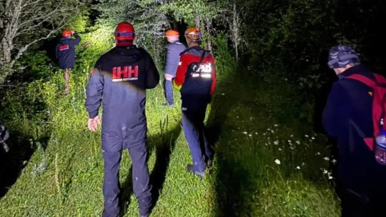 Tragic Discovery: Man Found Dead in Forest While Mushroom Foraging