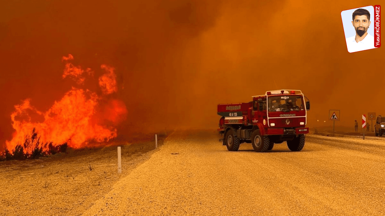 Human Negligence Fuels Forest Fires Amid Climate Crisis