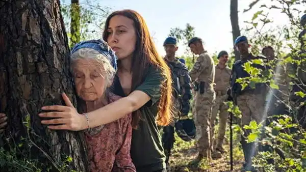 Istanbul Residents Outraged by Council's Decision on Akbelen Forest