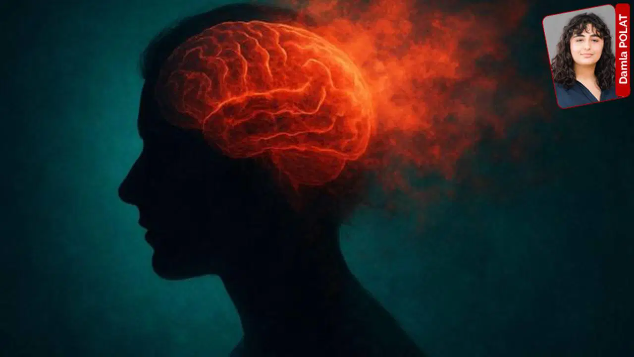 Financial Struggles May Accelerate Brain Aging, Study Reveals