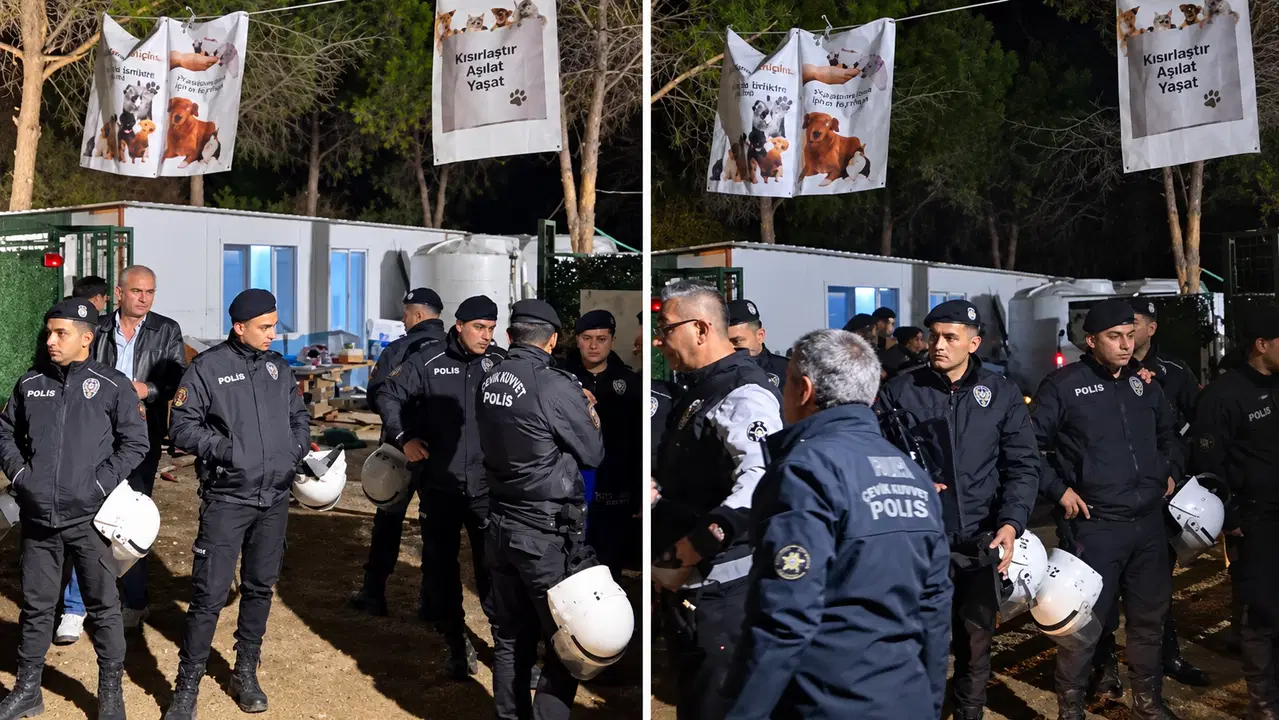 Late-Night Raid at Ege University Leads to Controversial Dog Collection
