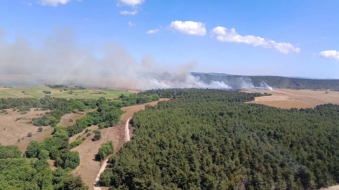Forest Fire Erupts in Çanakkale, Rapid Response Underway