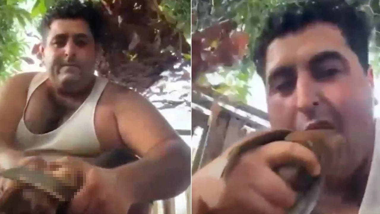 Man Arrested for Sharing Disturbing Videos of Bird Abuse in Alanya