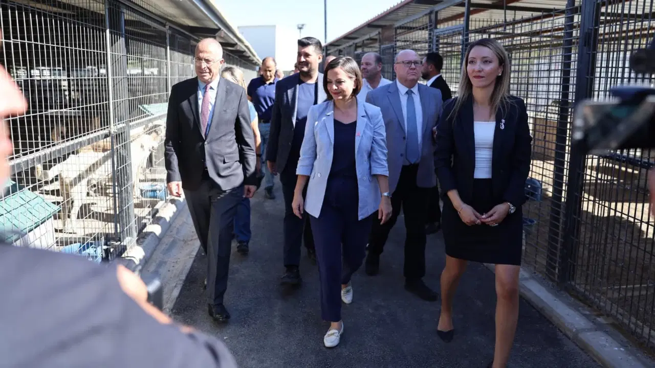 Karabağlar'da Hayvan Sağlığına Yönelik İyileştirmeler Yapıldı