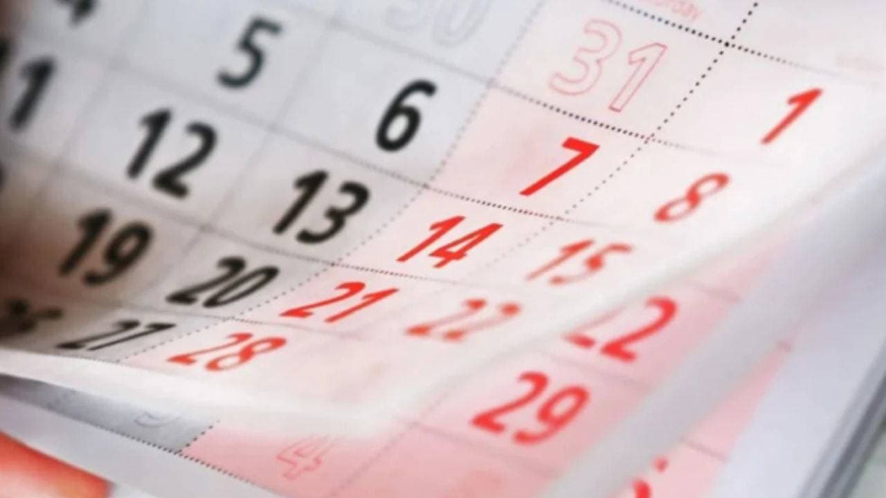 Is October 28 a Half-Day Holiday? Duration of Republic Day Celebrations Explained