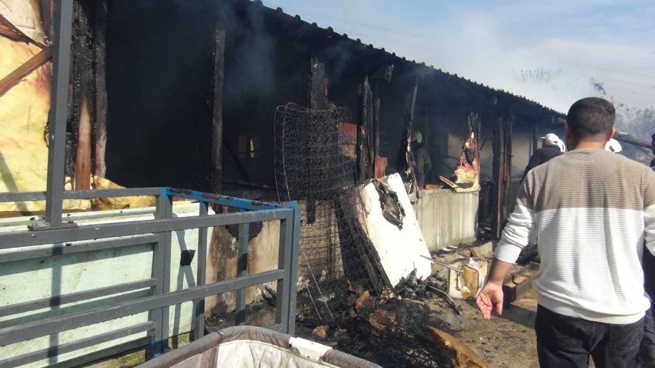 Silivri'deki Ahır Yangınında Çok Sayıda Hayvan Zarar Gördü