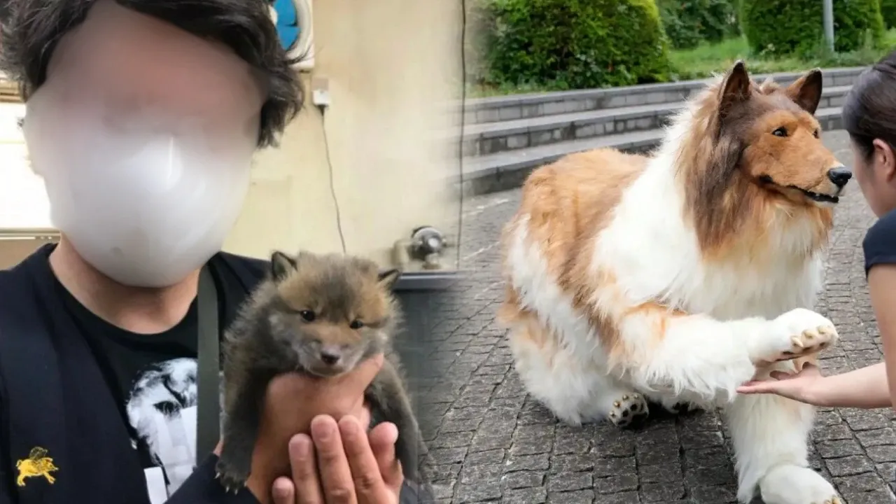 Transforming into a Dog: A Wealthy Individual Reveals Their Face for the First Time