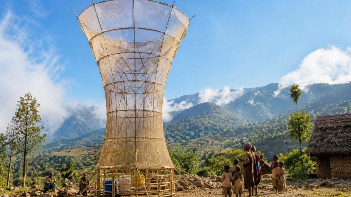 Innovative Bamboo Tower Successfully Generates Water from Air