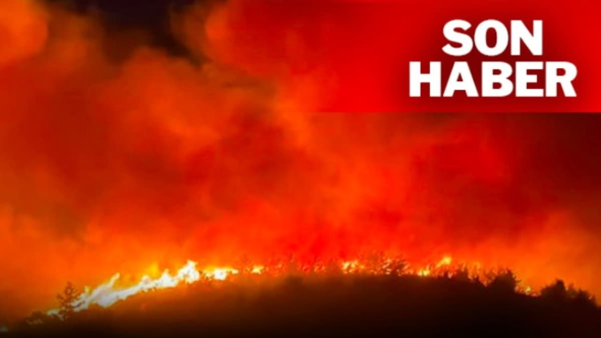 Devastating Wildfires Erupt in Muğla: Hotels Evacuated and Residents Rescued