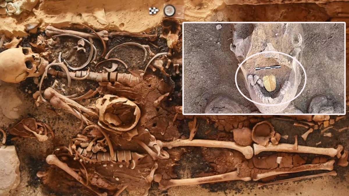 Öteki Dünyada İletişim İçin Altın Diller Yerleştirilmiş