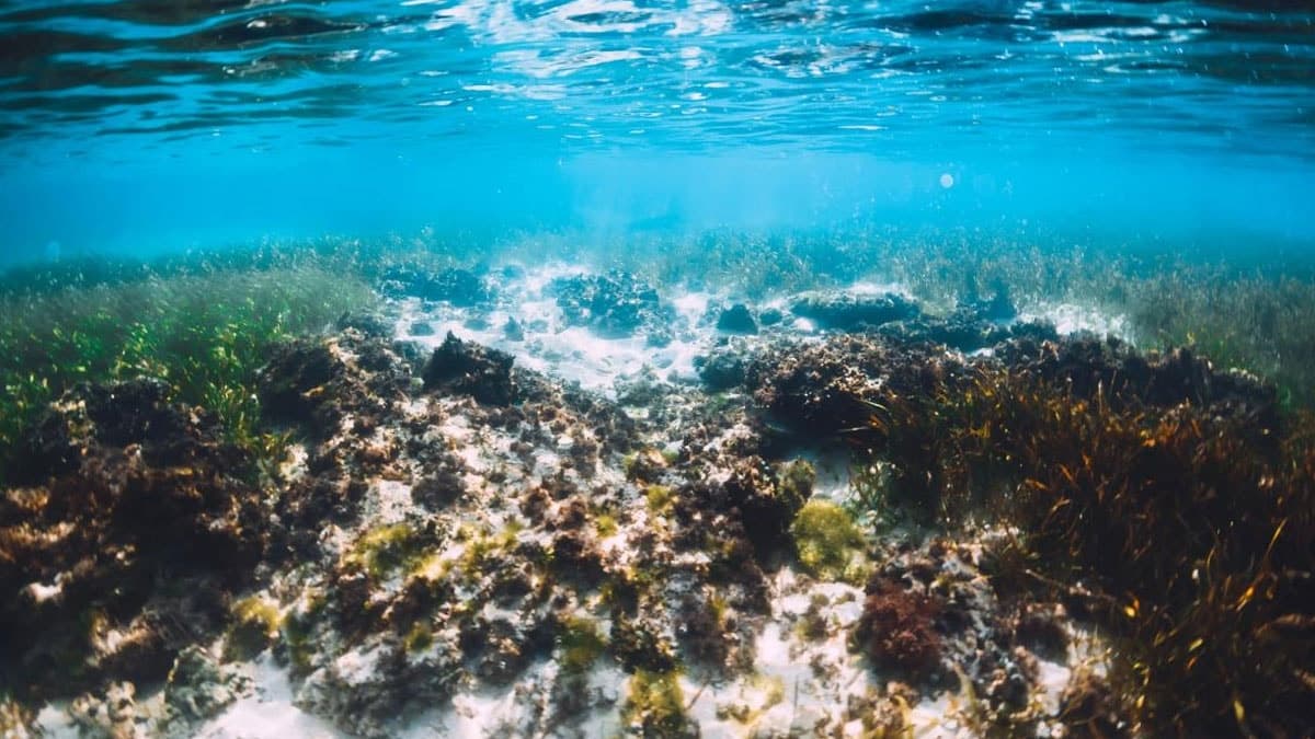 Newly Discovered Reserve Could Sustain Humanity for 50,000 Years