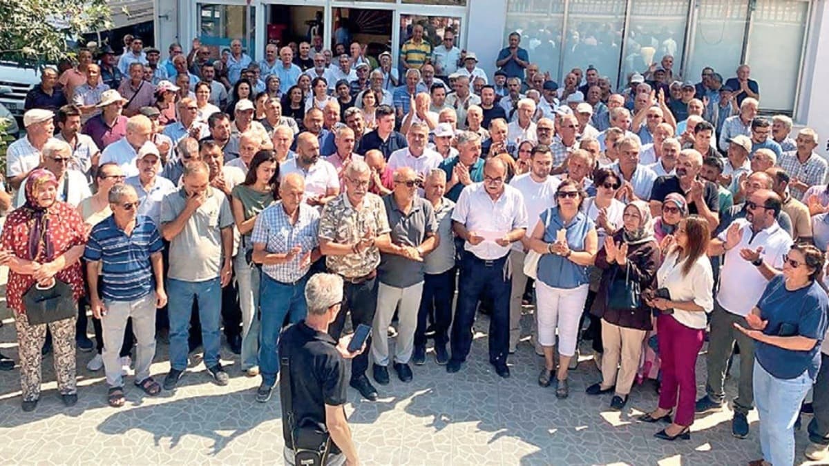 New Political Movement Gains Traction in Major Cities