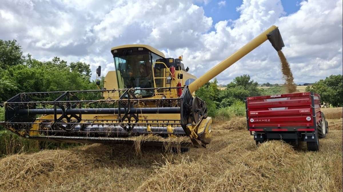 Government Neglects Farmers as Price Hikes Loom for Agricultural Goods