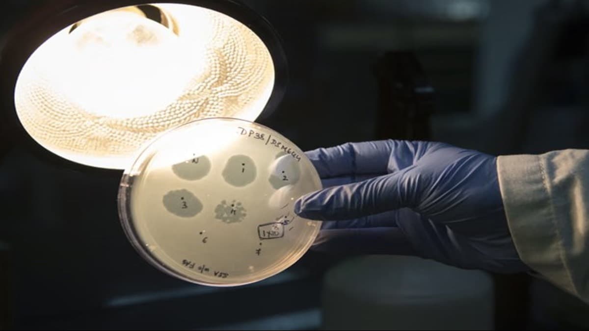 Groundbreaking Advancement in Science: AI Successfully Creates a Virus