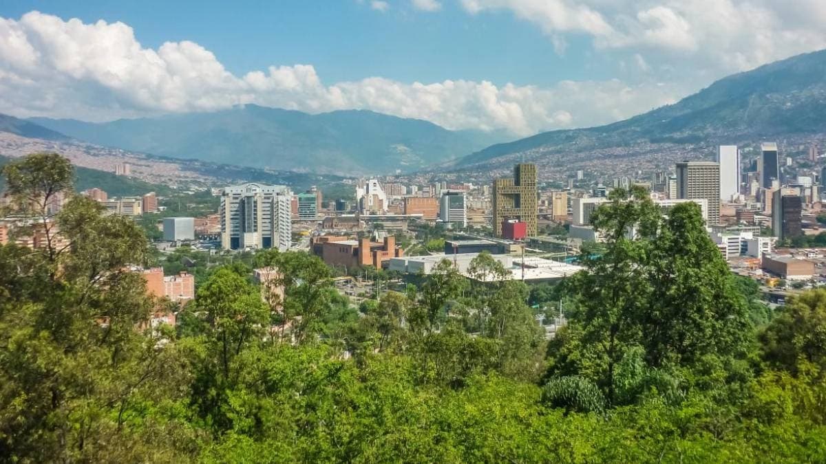 880 Bin Ağaç Dikildi: Şehir Krizden Kurtuldu